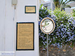 Lefkes Paros | Cycladen | Griekenland foto 13