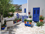 Lefkes Paros | Cycladen | Griekenland foto 29