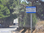 Piso Livadi Paros | Cycladen | Griekenland foto 1