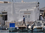 Naoussa Paros | Cycladen | Griekenland foto 44