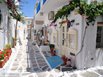 Naoussa Paros | Cycladen | Griekenland foto 74