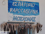 Naoussa Paros | Cycladen | Griekenland foto 94