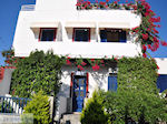 Pension Rena Parikia | Paros | Griekenland foto 2